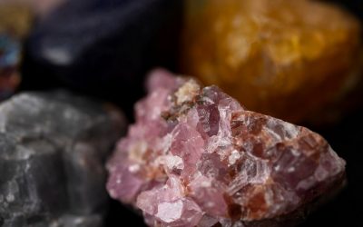 Das verborgene Bewusstsein der Steine und Pflanzen – Leben jenseits des Sichtbaren