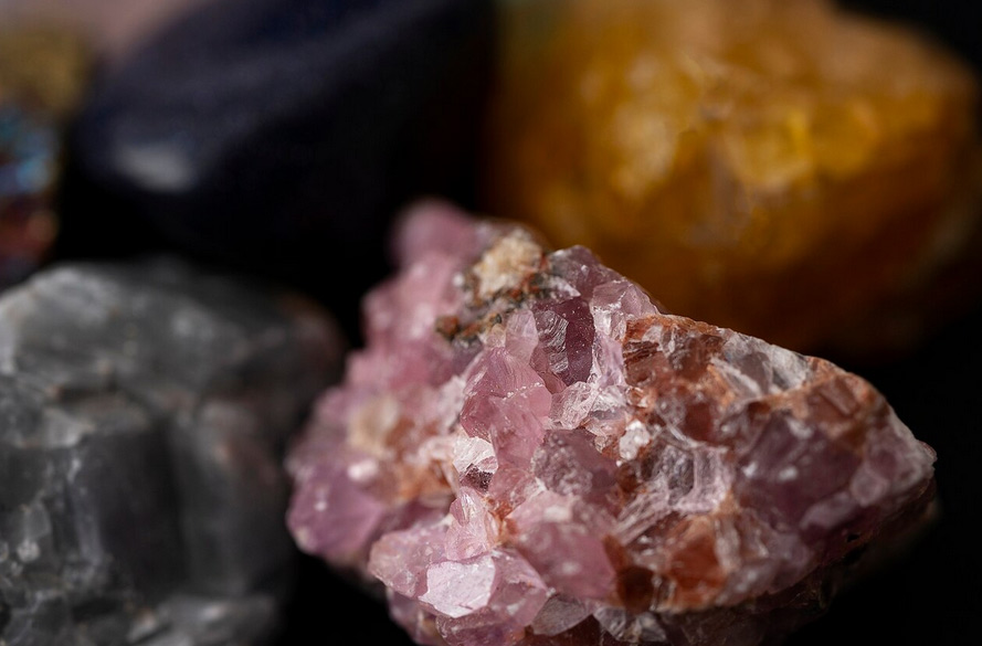 Das verborgene Bewusstsein der Steine und Pflanzen – Leben jenseits des Sichtbaren