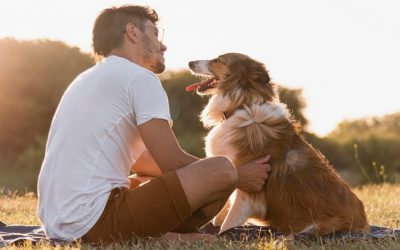 Tiere als Seelengefährten – Was sie uns über uns selbst lehren