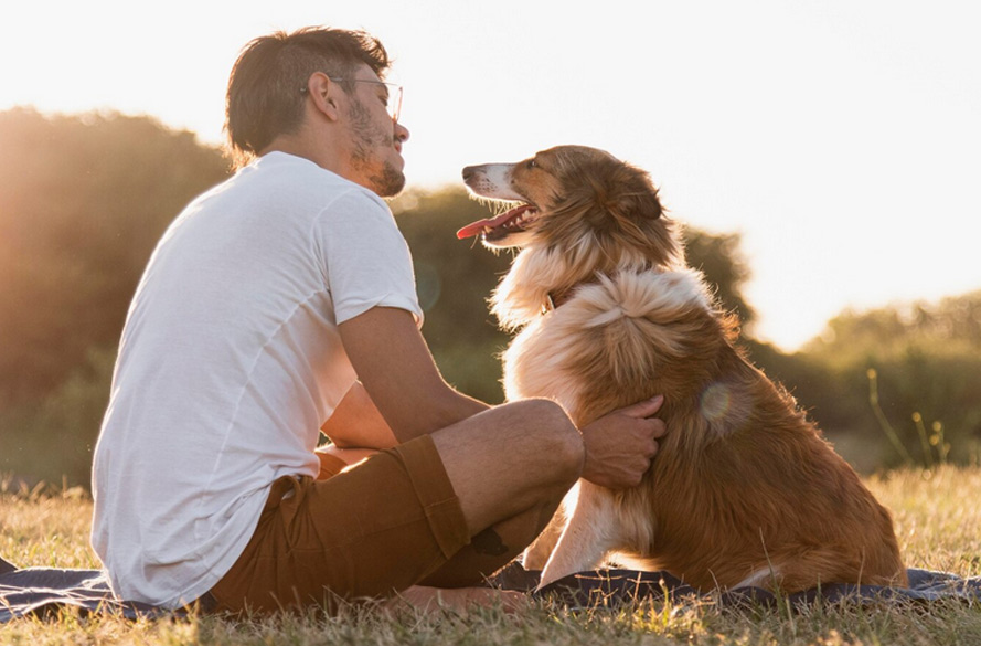 Tiere als Seelengefährten – Was sie uns über uns selbst lehren