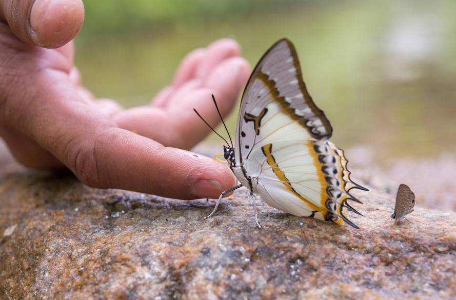 Sieben – Zahl der Transformation und Heimkehr