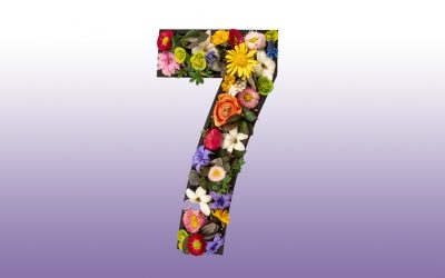 Die Kraft der Zahl 7 – Schöpfung, Zyklus und das Unsichtbare