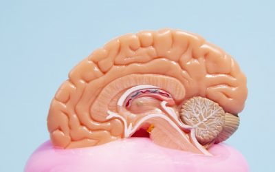 Das verborgene Ziel – Wie die C19-Impfungen das endokrine System und die Zirbeldrüse schädigen