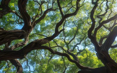 Nichts lebt für sich allein – Das große symbiotische Miteinander