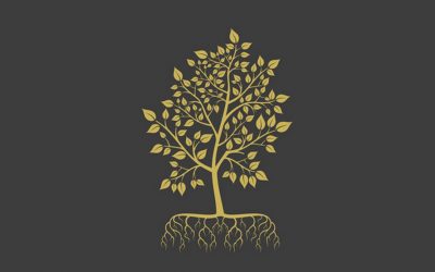 Wachstum – Tiefe Wurzeln in deinem eigenen heiligen Boden