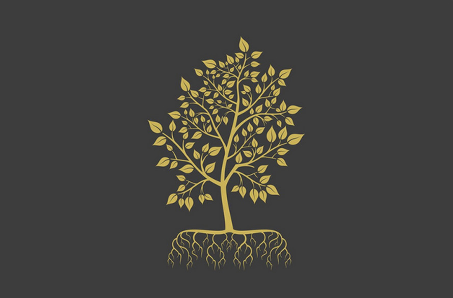 Wachstum – Tiefe Wurzeln in deinem eigenen heiligen Boden