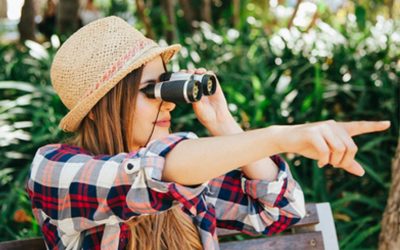 Verliere niemals deinen Weg aus den Augen