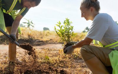 Wer Bäume pflanzt, ohne je unter ihrem Schatten zu sitzen, hat begonnen, den Sinn des Lebens zu verstehen