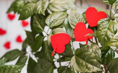 Liebe kommt von selbst. Hass ist angelehrt.