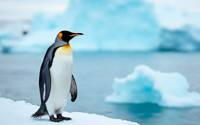 Wettermanipulation & Geoengineering – Wer entscheidet über das „Abkühlen“ der Erde – und mit welchem Ziel?