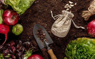 Permakultur und die Kunst, im Einklang mit der Erde zu leben