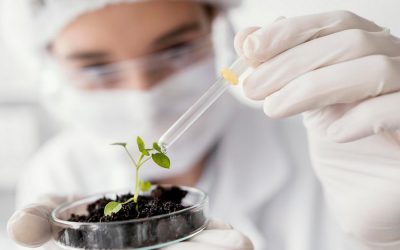 Warum dürfen Konzerne wie Monsanto Saatgut patentieren?