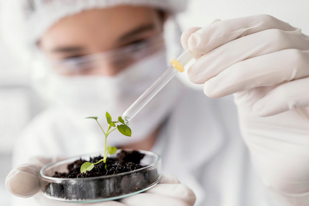 Warum dürfen Konzerne wie Monsanto Saatgut patentieren?