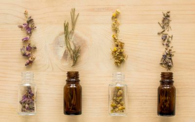 Die Umbenennung der Medizin – Wie aus Heilpflanzen „Alternativen“ wurden