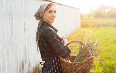 WARUM IST DAS WOHL SO? Eine stille Wahrheit – und was wir daraus lernen könnten