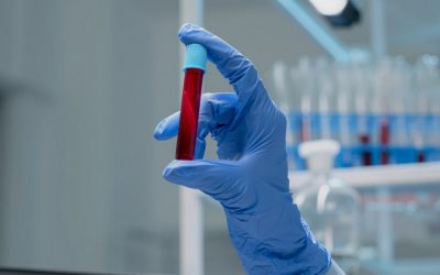 Signale im Blut – Die stille Frequenz der Veränderung