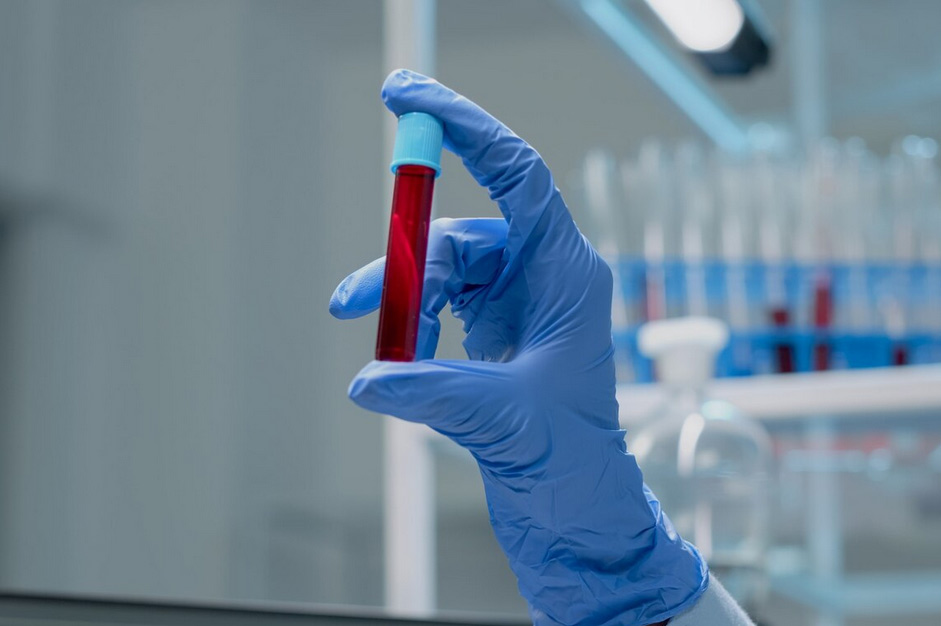 Signale im Blut – Die stille Frequenz der Veränderung
