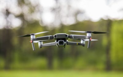 Roboter-Vögel, KI-Mücken und der Verlust natürlicher Intelligenz
