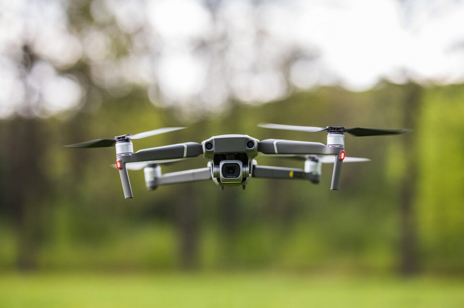 Roboter-Vögel, KI-Mücken und der Verlust natürlicher Intelligenz