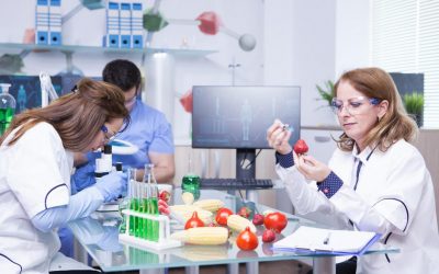 Wenn Nahrung zur Technologie wird – Die unsichtbare Veränderung unseres Essens