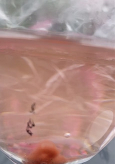 graphen-vitamine-2 Graphen in Vitaminen