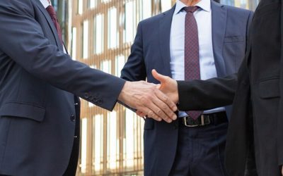 Wie wird man eigentlich Politiker?