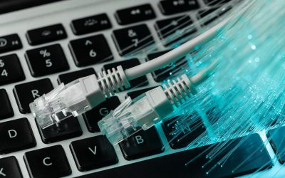 Digitale Freiheit bewahren – alternatives Netzwerk Qortal