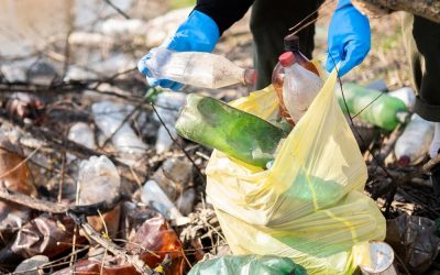 Littering – Die unterschätzte Gefahr durch achtloses Wegwerfen