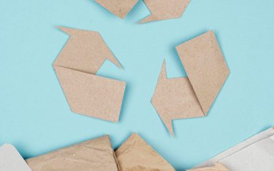 Weiß wie Unschuld – und doch chemisch verseucht? Ein kritischer Blick auf gebleichtes Papier