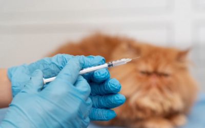 Impfungen für Tiere – Zwischen Profit, Kontrolle und einer zerstörerischen Agenda