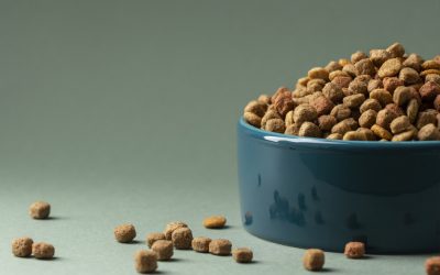 Was füttern wir da eigentlich? – Die Wahrheit über Tierfutter