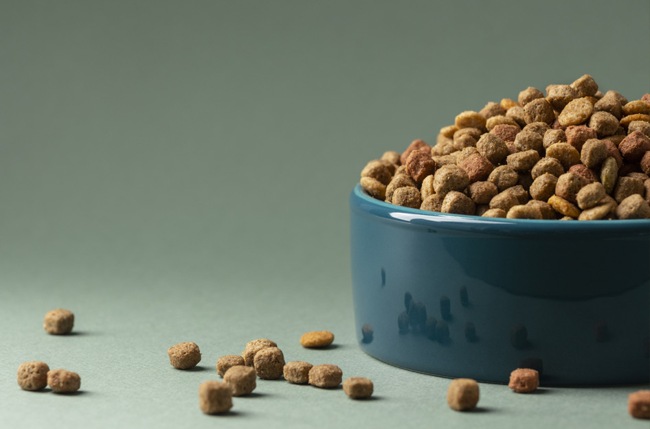 Was füttern wir da eigentlich? – Die Wahrheit über Tierfutter