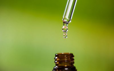 Bioverfügbarkeit – Warum die Form deiner Nahrungsergänzung entscheidend ist