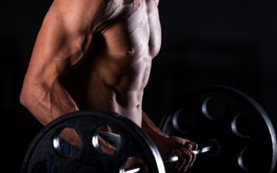 Proteine, Pulver und Pump – Wenn der Körper zum Versuchslabor wird