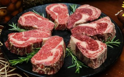 Der Irrtum vom Fleischwunder – Warum Carnivore-Diäten trügen können