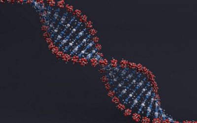 Enki, die Reptomutter und die Manipulation der DNA – Spiegelbilder alter und neuer Schöpfung