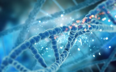 Was können Datenbanken mit unserer DNA wirklich anstellen?