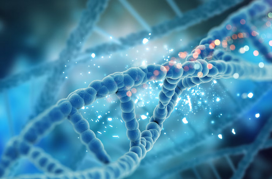 Was können Datenbanken mit unserer DNA wirklich anstellen?