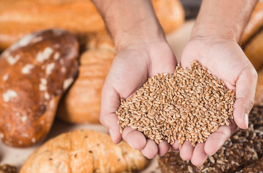 Gluten, Glyphosat und der überforderte Darm – Wie moderne Ernährung den Körper belastet