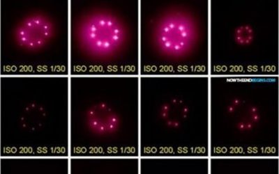 Die unsichtbare Markierung – Wenn Biotechnologie zur Kontrolle wird