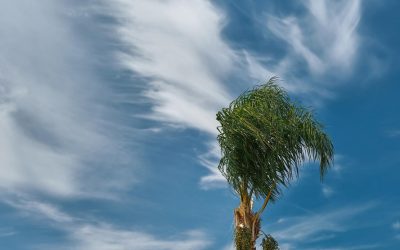 Du bist Natur – Die vergessene Verbindung zu dir selbst