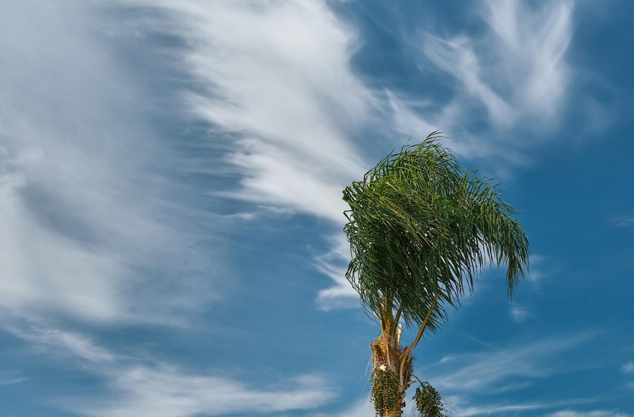 Du bist Natur – Die vergessene Verbindung zu dir selbst