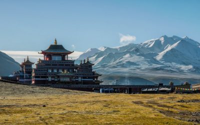 Der Pfad des Bodhisattva – Erwachen im Dienst