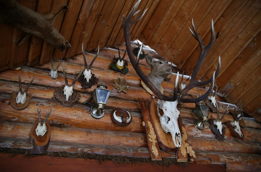 Trophäen statt Tränen – Wenn das Leben zum Objekt wird