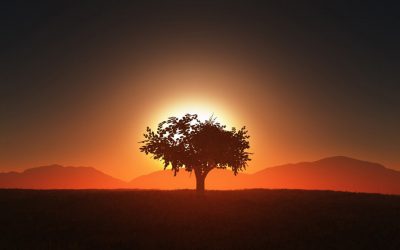 Du findest das Licht nicht, indem du die Dunkelheit vermeidest