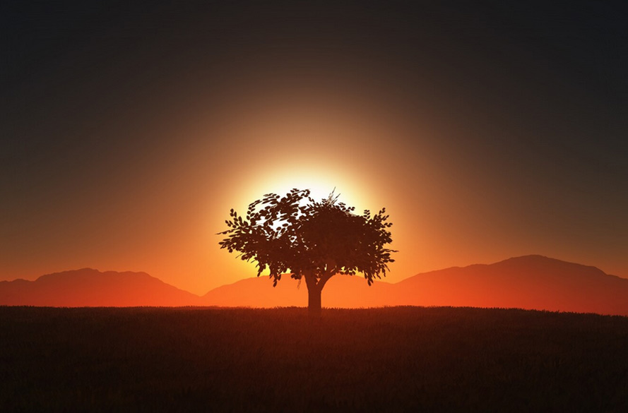 Du findest das Licht nicht, indem du die Dunkelheit vermeidest