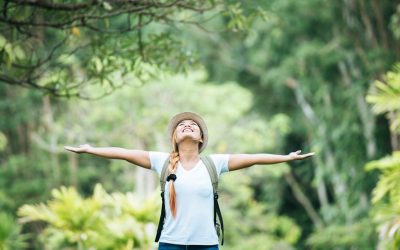 Energieverlust und Opferdenken – Die Rückverbindung zur Quelle