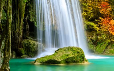 Das Meistern der Kräfte – Die Kraft des Wassers und die Veränderung der Welt