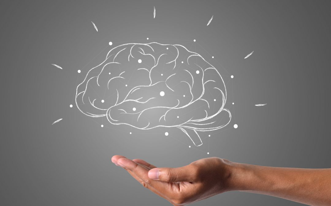 BrainNets – Auf dem Weg zur Vernetzung des menschlichen Bewusstseins?