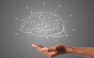 BrainNets – Auf dem Weg zur Vernetzung des menschlichen Bewusstseins?